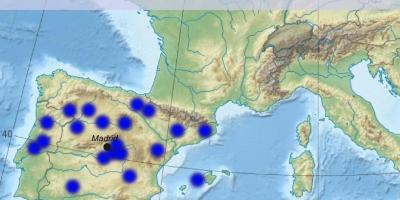 Kort over Madrid lufthavn omgivelser